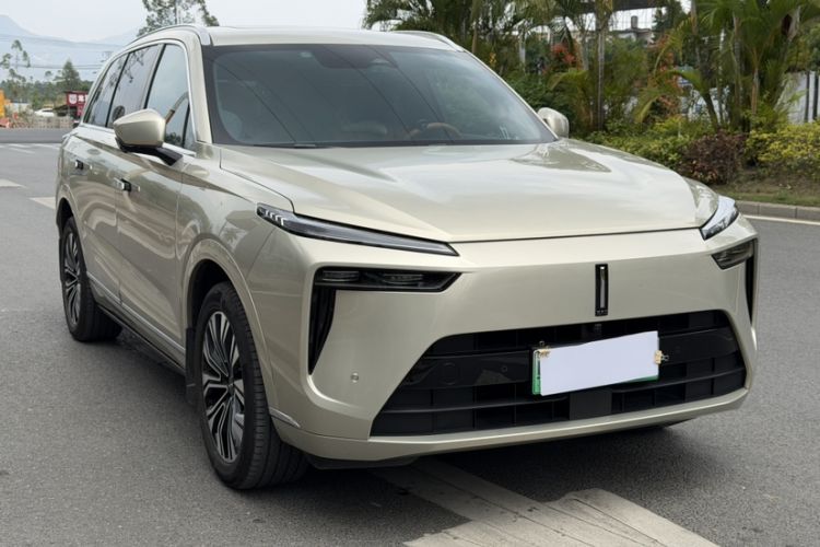 Used Wey Lanshan 2023 Two-Wheel Drive Long-Range Version Exterior 8