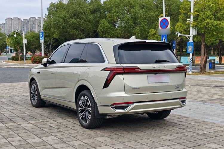 Used Wey Lanshan 2023 Four-Wheel Drive Ultra-Long Range Version Exterior 8