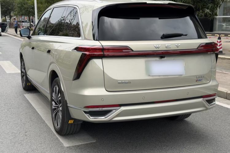 Used Wey Lanshan 2023 Two-Wheel Drive Long-Range Version Exterior 9