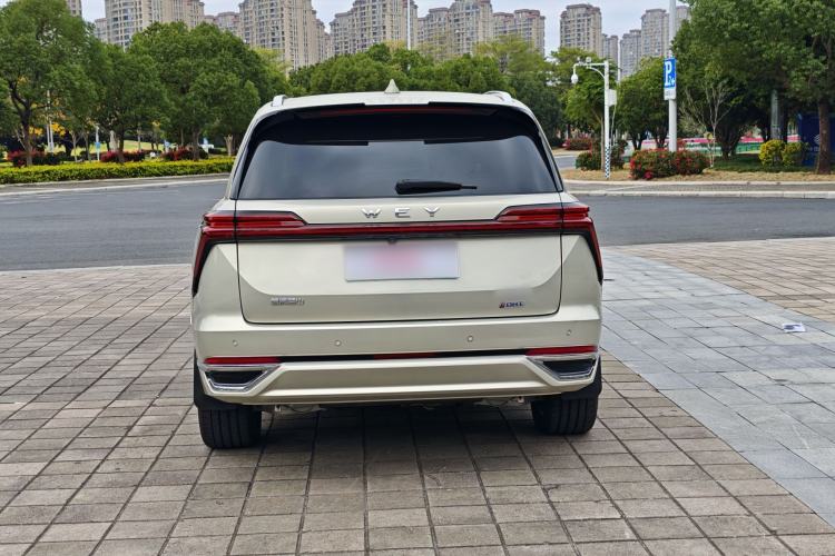 Used Wey Lanshan 2023 Four-Wheel Drive Ultra-Long Range Version Exterior 9