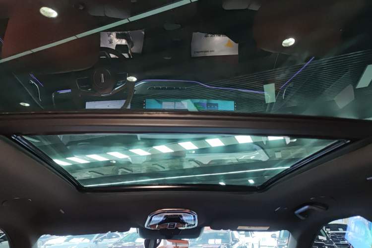 Used Wey Lanshan 2023 Four-Wheel Drive Ultra-Long Range Version Headliner