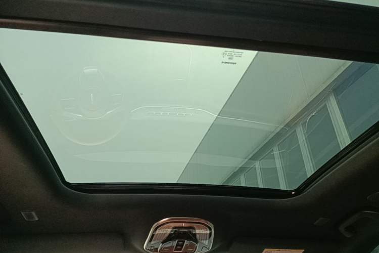 Used Wey Lanshan 2023 Four-Wheel Drive Ultra-Long Range Version Headliner