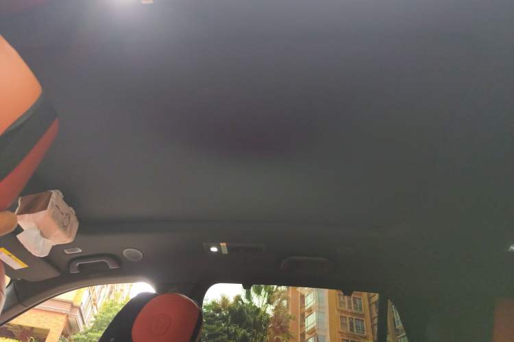 Used Wey Lanshan 2023 Two-Wheel Drive Long-Range Version Headliner