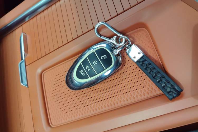 Used Wey Lanshan 2023 Two-Wheel Drive Long-Range Version Interior 1