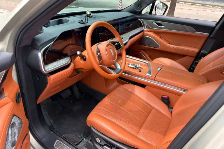 Used Wey Lanshan 2023 Two-Wheel Drive Long-Range Version Interior 3