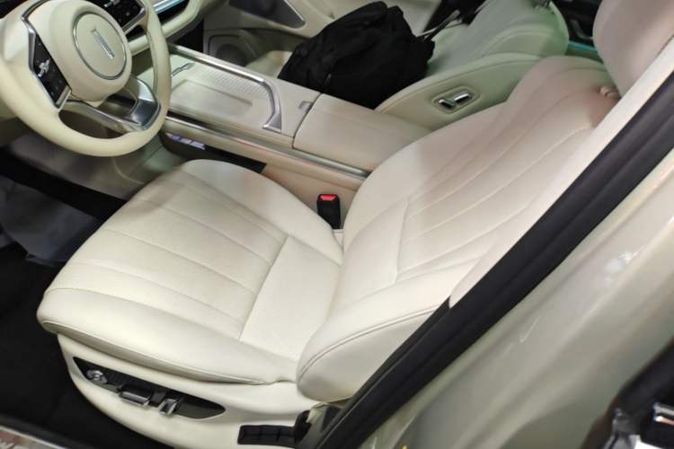 Used Wey Lanshan 2023 Four-Wheel Drive Ultra-Long Range Version Left Front Seat