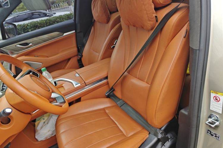 Used Wey Lanshan 2023 Four-Wheel Drive Ultra-Long Range Version Left Front Seat