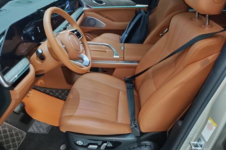 Used Wey Lanshan 2023 Four-Wheel Drive Ultra-Long Range Version Left Front Seat