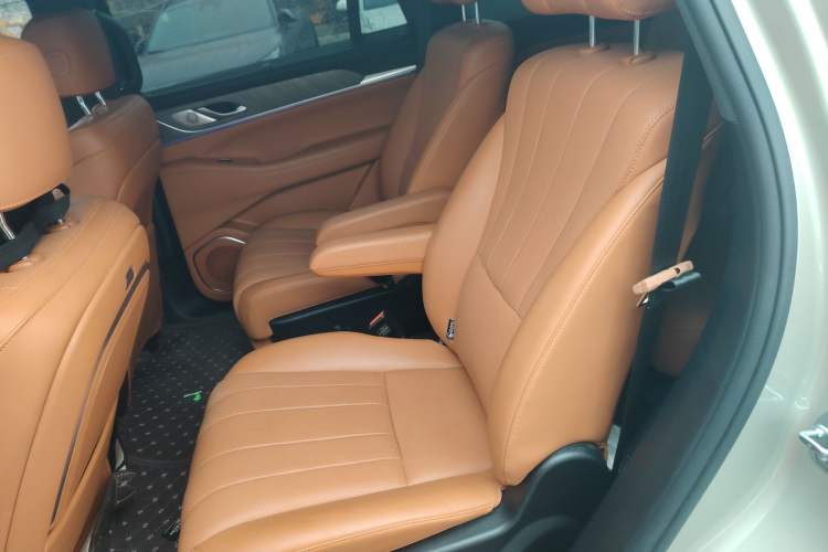 Used Wey Lanshan 2023 Four-Wheel Drive Ultra-Long Range Version Left Rear Seat