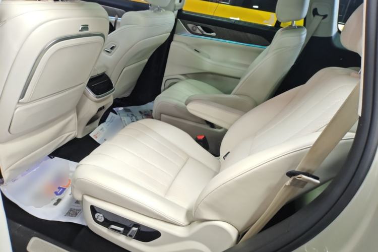 Used Wey Lanshan 2023 Four-Wheel Drive Ultra-Long Range Version Left Rear Seat