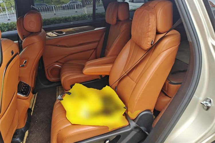 Used Wey Lanshan 2023 Four-Wheel Drive Ultra-Long Range Version Left Rear Seat