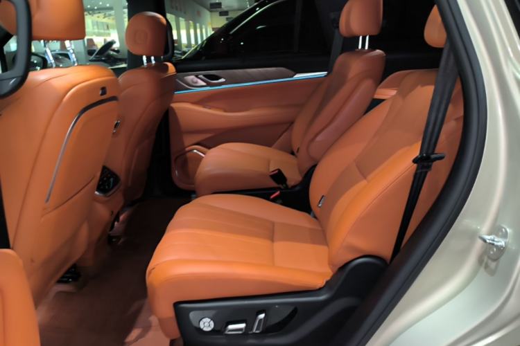 Used Wey Lanshan 2023 Four-Wheel Drive Ultra-Long Range Version Left Rear Seat