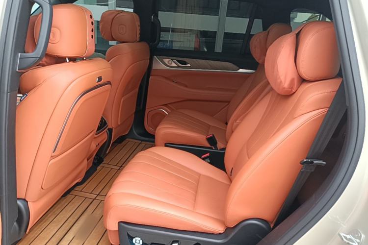 Used Wey Lanshan 2023 Four-Wheel Drive Ultra-Long Range Version Left Rear Seat