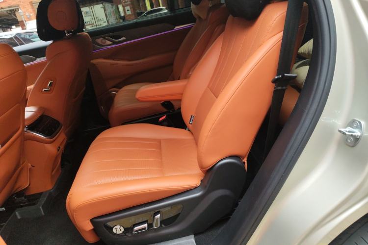 Used Wey Lanshan 2023 Two-Wheel Drive Long-Range Version Left Rear Seat