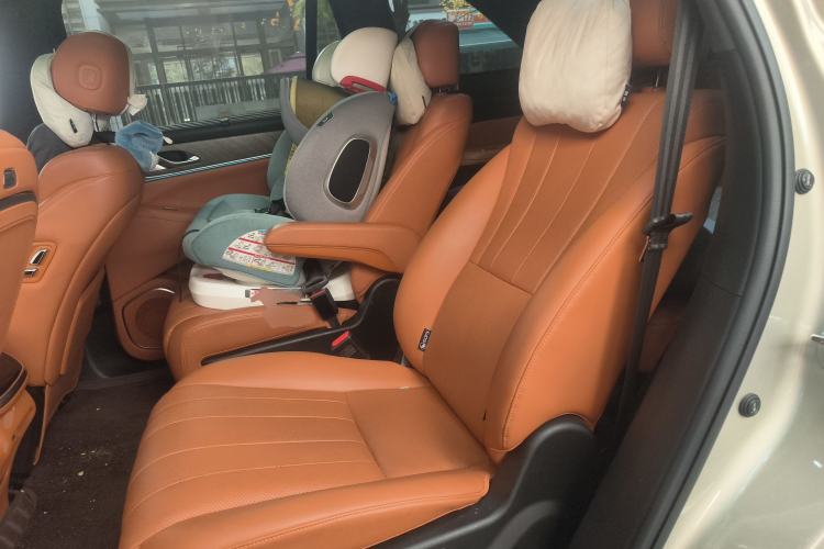 Used Wey Lanshan 2023 Four-Wheel Drive Ultra-Long Range Version Left Rear Seat