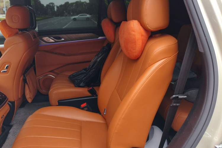 Used Wey Lanshan 2023 Four-Wheel Drive Ultra-Long Range Version Left Rear Seat