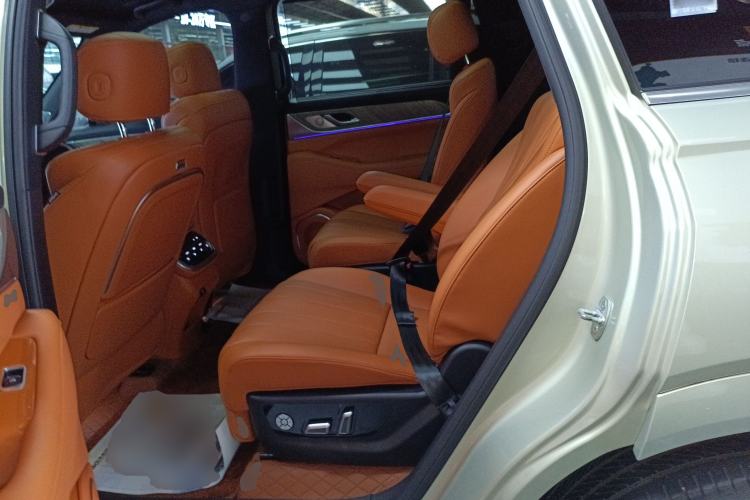Used Wey Lanshan 2023 Four-Wheel Drive Ultra-Long Range Version Left Rear Seat