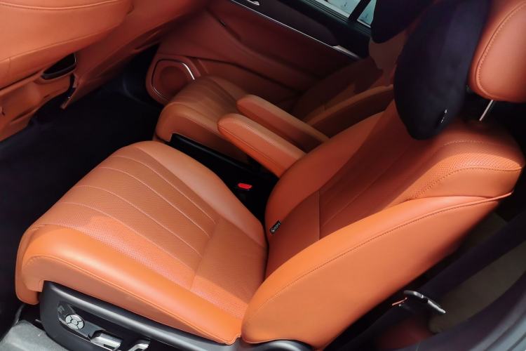 Used Wey Lanshan 2023 Two-Wheel Drive Long-Range Version Left Rear Seat