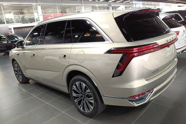 Used Wey Lanshan 2023 Four-Wheel Drive Ultra-Long Range Version Left Side
