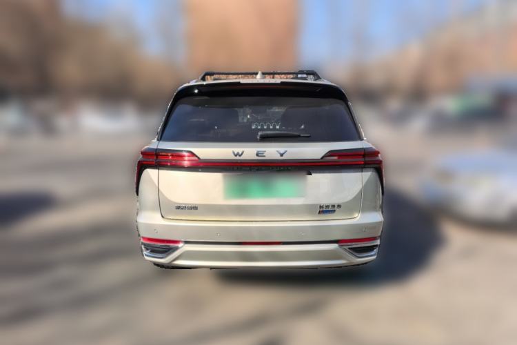 Used Wey Lanshan 2023 Four-Wheel Drive Ultra-Long Range Version Rear