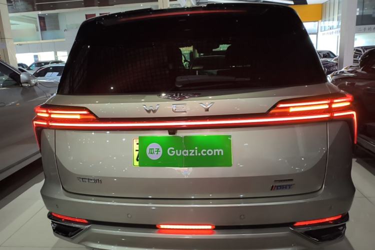 Used Wey Lanshan 2023 Four-Wheel Drive Ultra-Long Range Version Rear