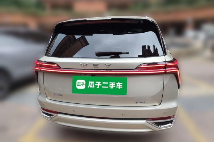 Used Wey Lanshan 2023 Two-Wheel Drive Long-Range Version Rear