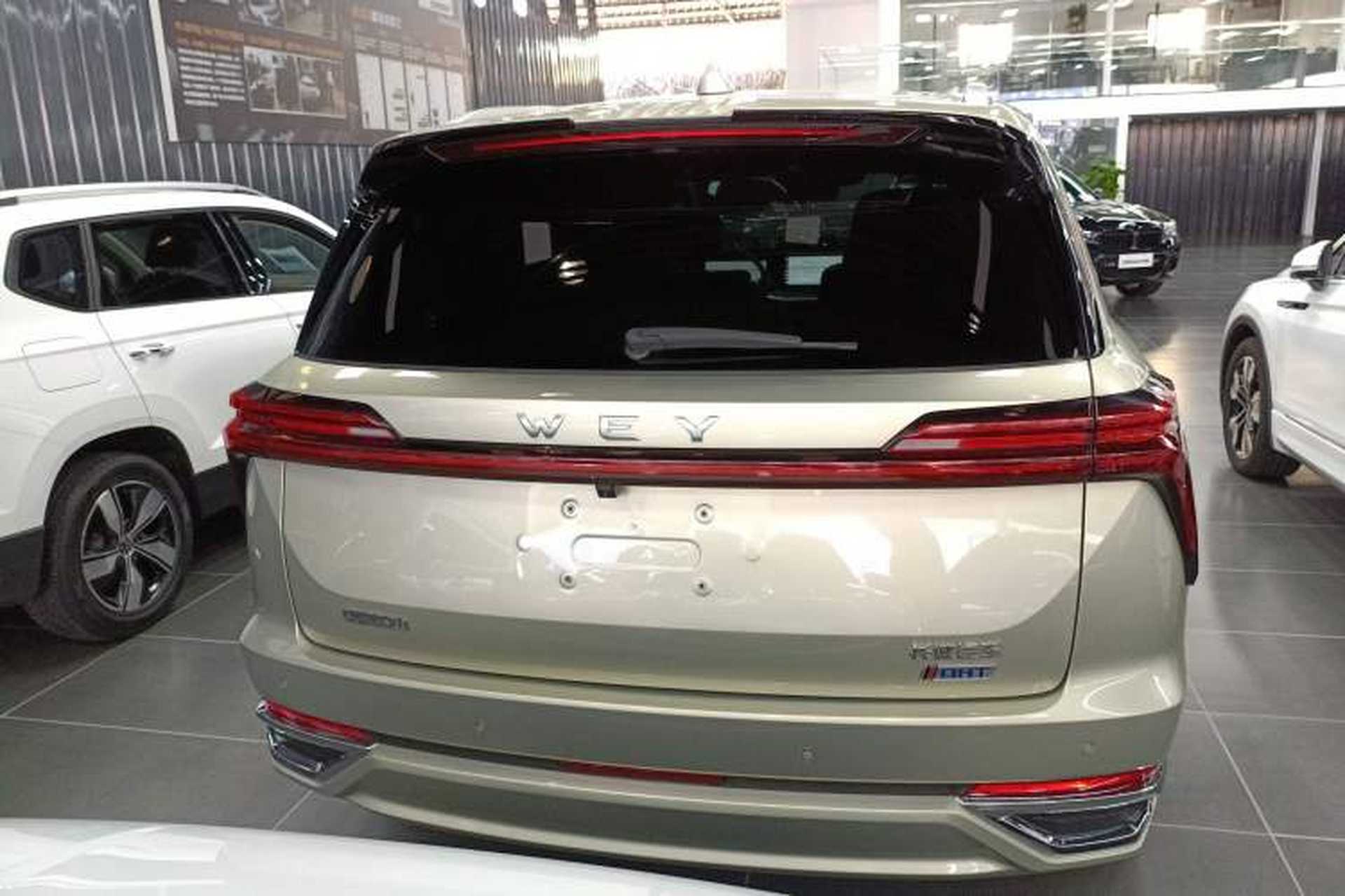 Used Wey Lanshan 2023 Four-Wheel Drive Ultra-Long Range Version Rear