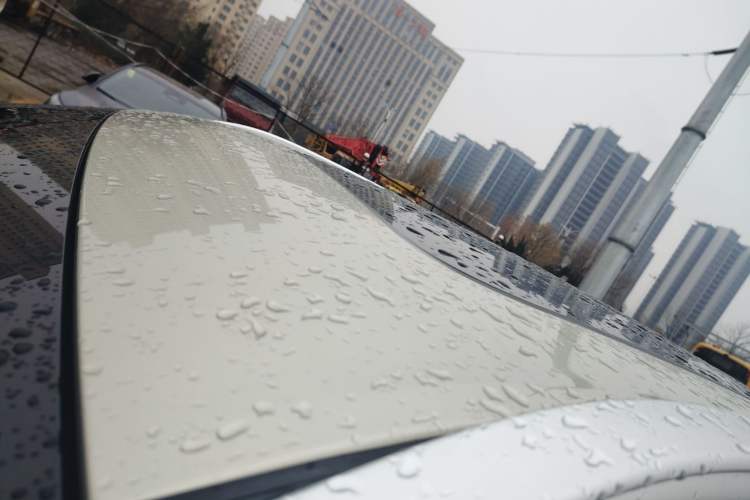 Used Wey Lanshan 2023 Four-Wheel Drive Ultra-Long Range Version Roof