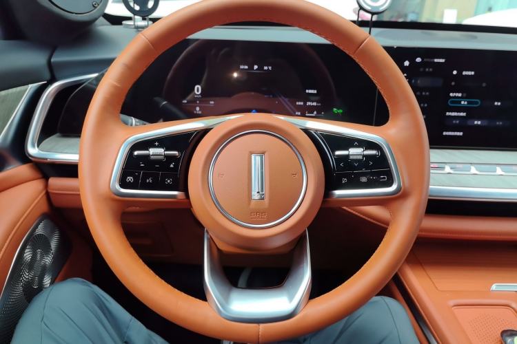 Used Wey Lanshan 2023 Two-Wheel Drive Long-Range Version Steering Wheel