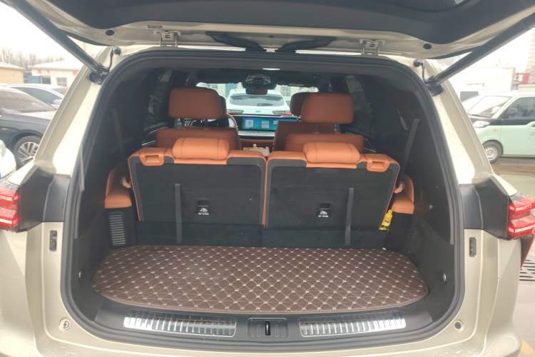 Used Wey Lanshan 2023 Four-Wheel Drive Ultra-Long Range Version Trunk