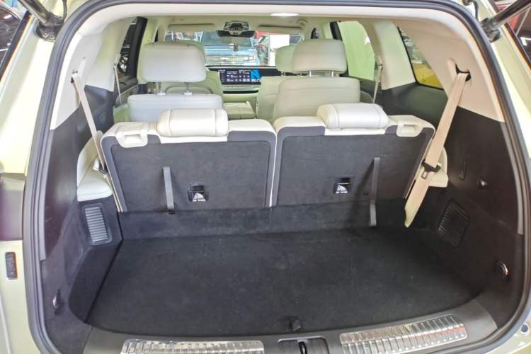 Used Wey Lanshan 2023 Four-Wheel Drive Ultra-Long Range Version Trunk