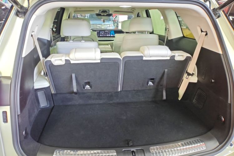 Used Wey Lanshan 2023 Four-Wheel Drive Ultra-Long Range Version Trunk