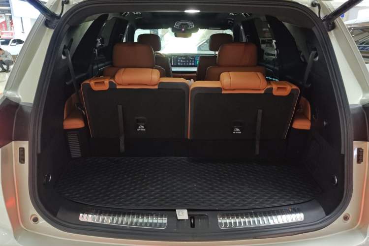 Used Wey Lanshan 2023 Four-Wheel Drive Ultra-Long Range Version Trunk