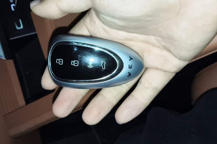 Used Wey Lanshan 2023 Four-Wheel Drive Ultra-Long Range Version Vehicle Key