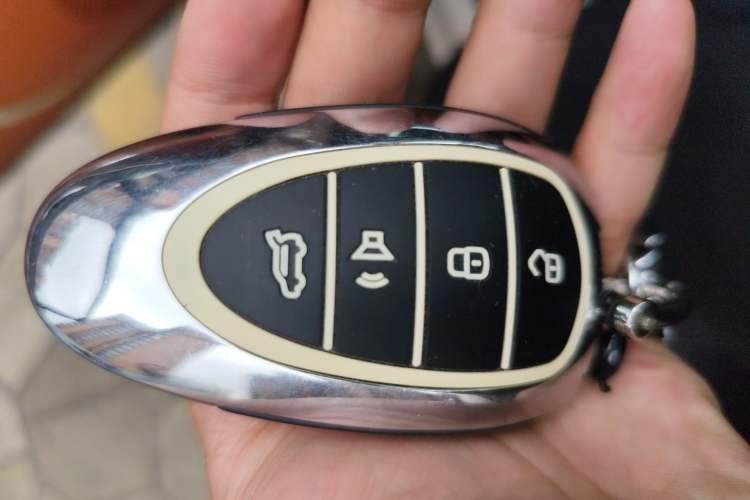 Used Wey Lanshan 2023 Two-Wheel Drive Long-Range Version Vehicle Key