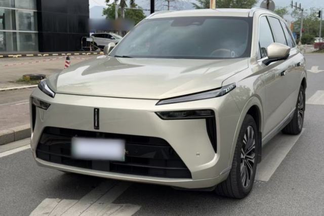 Used Wey Lanshan 2023 Two-Wheel Drive Long-Range Version