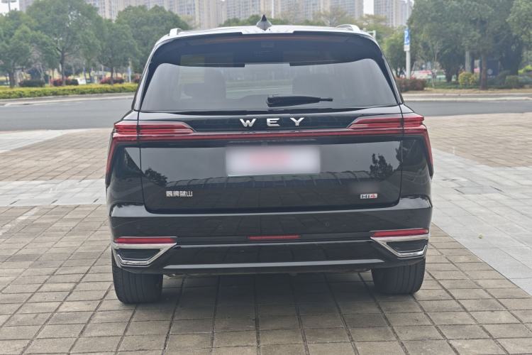 Used Wey Lanshan 2025 Four-Wheel Drive Ultra Exterior 9