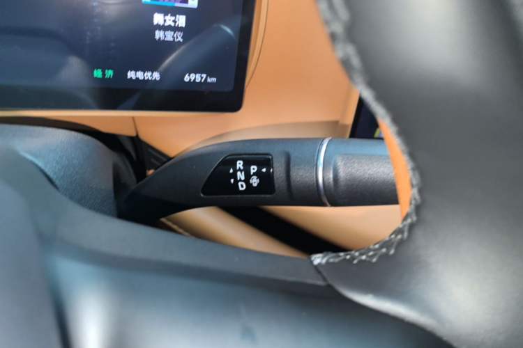 Used Wey Lanshan 2025 Four-Wheel Drive Max Gear Lever