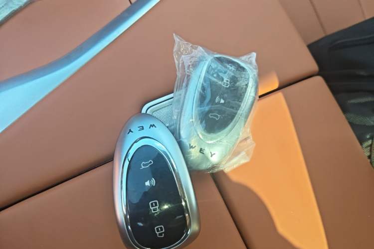 Used Wey Lanshan 2025 Four-Wheel Drive Ultra Interior 1