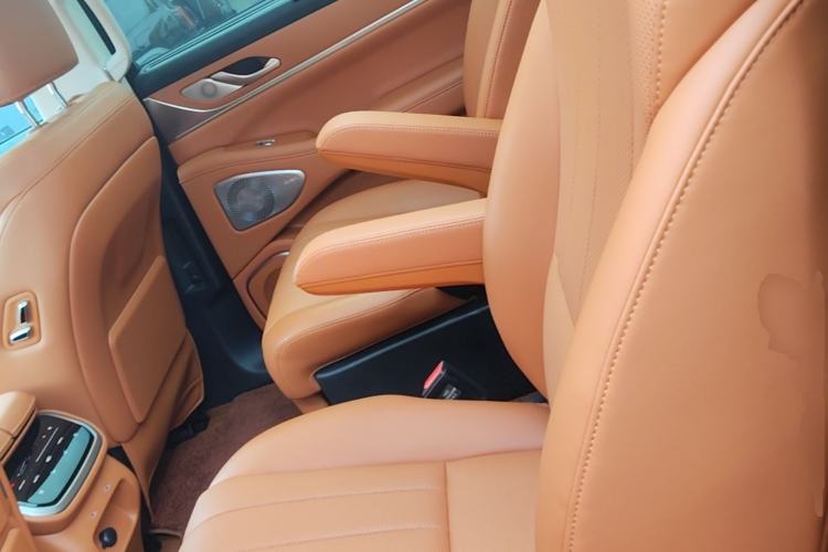 Used Wey Lanshan 2025 Four-Wheel Drive Max Left Rear Seat