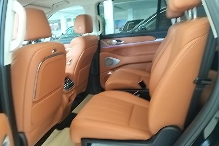 Used Wey Lanshan 2025 Four-Wheel Drive Max Left Rear Seat
