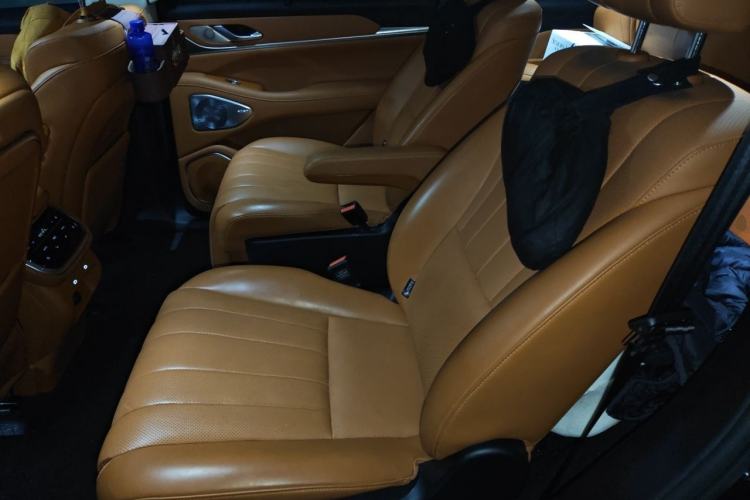 Used Wey Lanshan 2025 Four-Wheel Drive Max Left Rear Seat