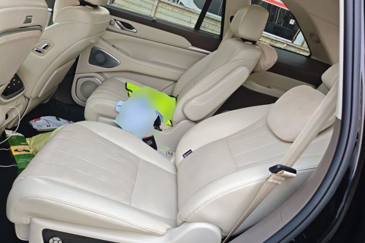 Used Wey Lanshan 2025 Four-Wheel Drive Max Left Rear Seat