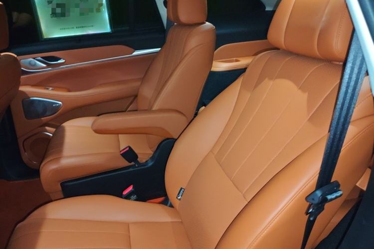 Used Wey Lanshan 2025 Four-Wheel Drive Max Left Rear Seat