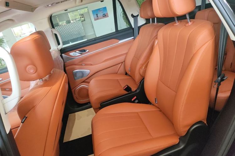 Used Wey Lanshan 2025 Four-Wheel Drive Ultra Left Rear Seat