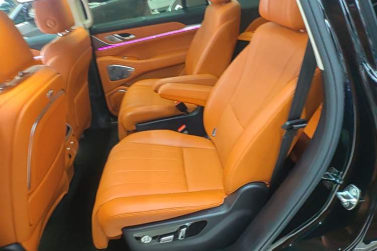 Used Wey Lanshan 2025 Four-Wheel Drive Max Left Rear Seat