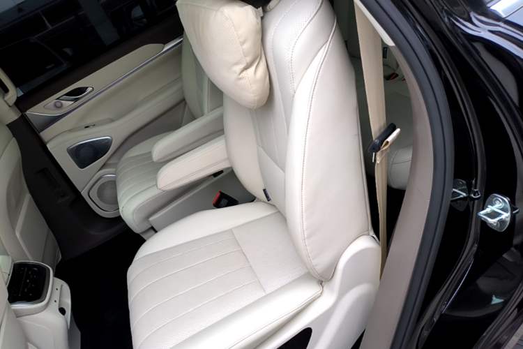 Used Wey Lanshan 2025 Four-Wheel Drive Max Left Rear Seat