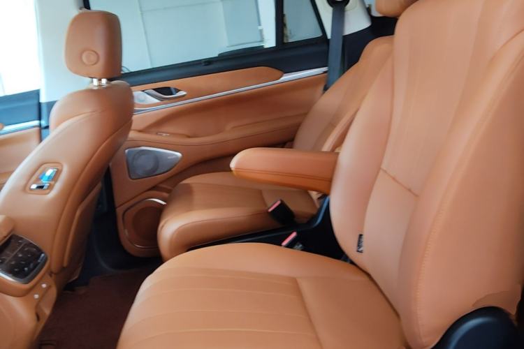 Used Wey Lanshan 2025 Four-Wheel Drive Ultra Left Rear Seat