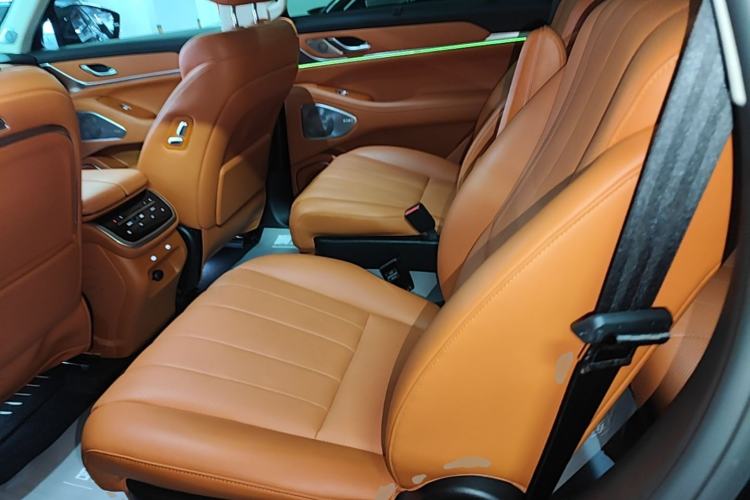 Used Wey Lanshan 2025 Four-Wheel Drive Max Left Rear Seat