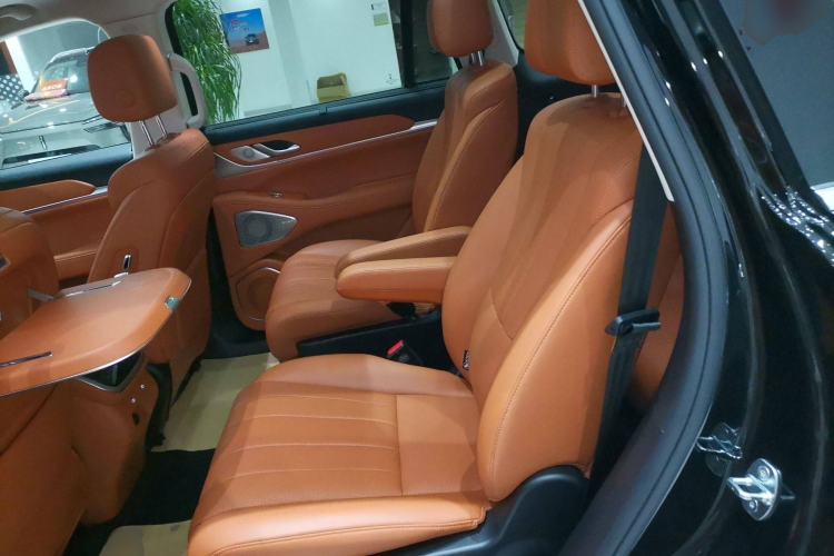 Used Wey Lanshan 2025 Four-Wheel Drive Max Left Rear Seat